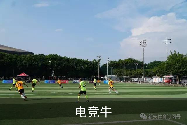电竞牛公司简介